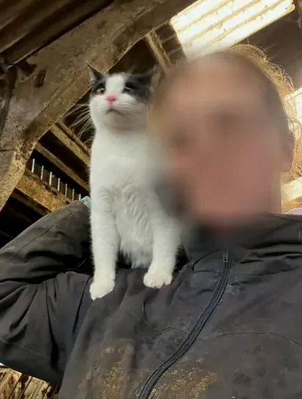 Jette, 23